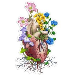Heart Anatomy Sticker III - Floral