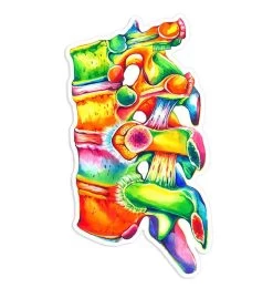 Spine Anatomy Sticker II - Watercolor Splash