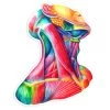 Neck Anatomy Sticker - Watercolor Splash -Codex Anatomicus Shop ST066