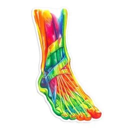 Foot Anatomy Sticker II - Watercolor Splash
