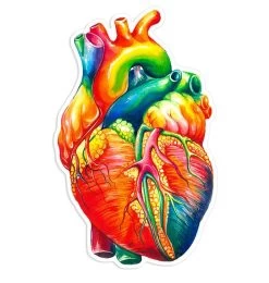 Heart Anatomy Sticker II - Watercolor Splash