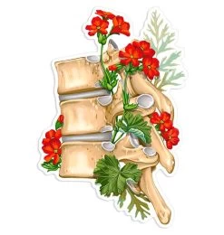Spine Anatomy Sticker II - Floral