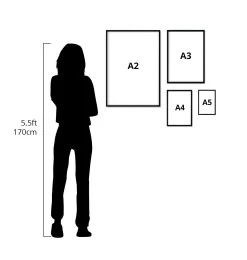 Eye Anatomy - Watercolor Splash 9 Eye Anatomy - Watercolor Splash -Codex Anatomicus Shop Size chart optimized 94df0a31 d5a6 419b a663 28ec175c2617