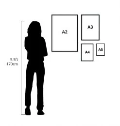 Torso Muscles Set Of 3 - Chalkboard -Codex Anatomicus Shop SizechartOPTIMIZED 09e35287 a7d2 4b01 b2fb 78b17e73bf6d