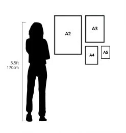Heart Anatomy Mix - Set Of 5 11 Heart Anatomy Mix - Set Of 5 -Codex Anatomicus Shop Sizechartopt