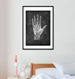 Hand Anatomy - Chalkboard -Codex Anatomicus Shop V LPA 226 1