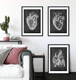 Chalkboard Heart Anatomy - Set Of 3