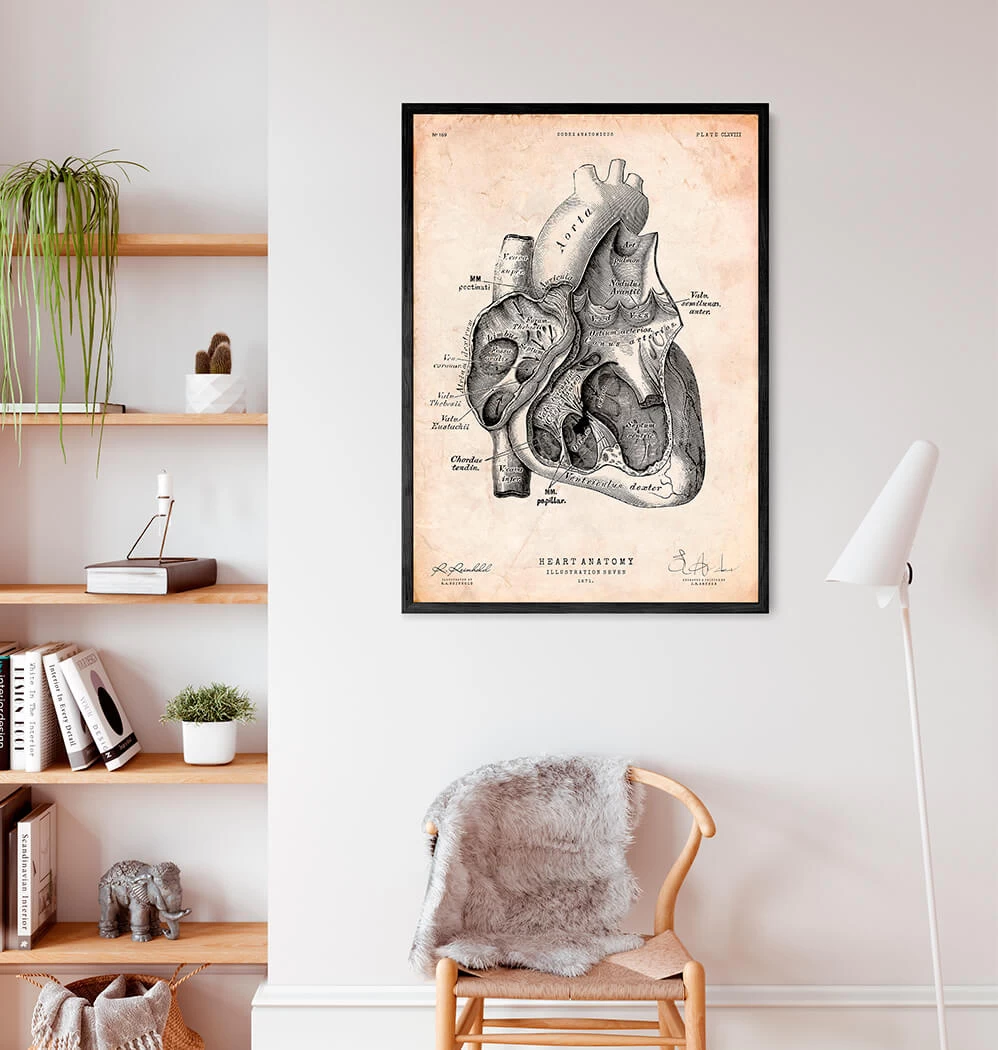 Heart Section Art Print I 4 Heart Section Art Print I - Image 2