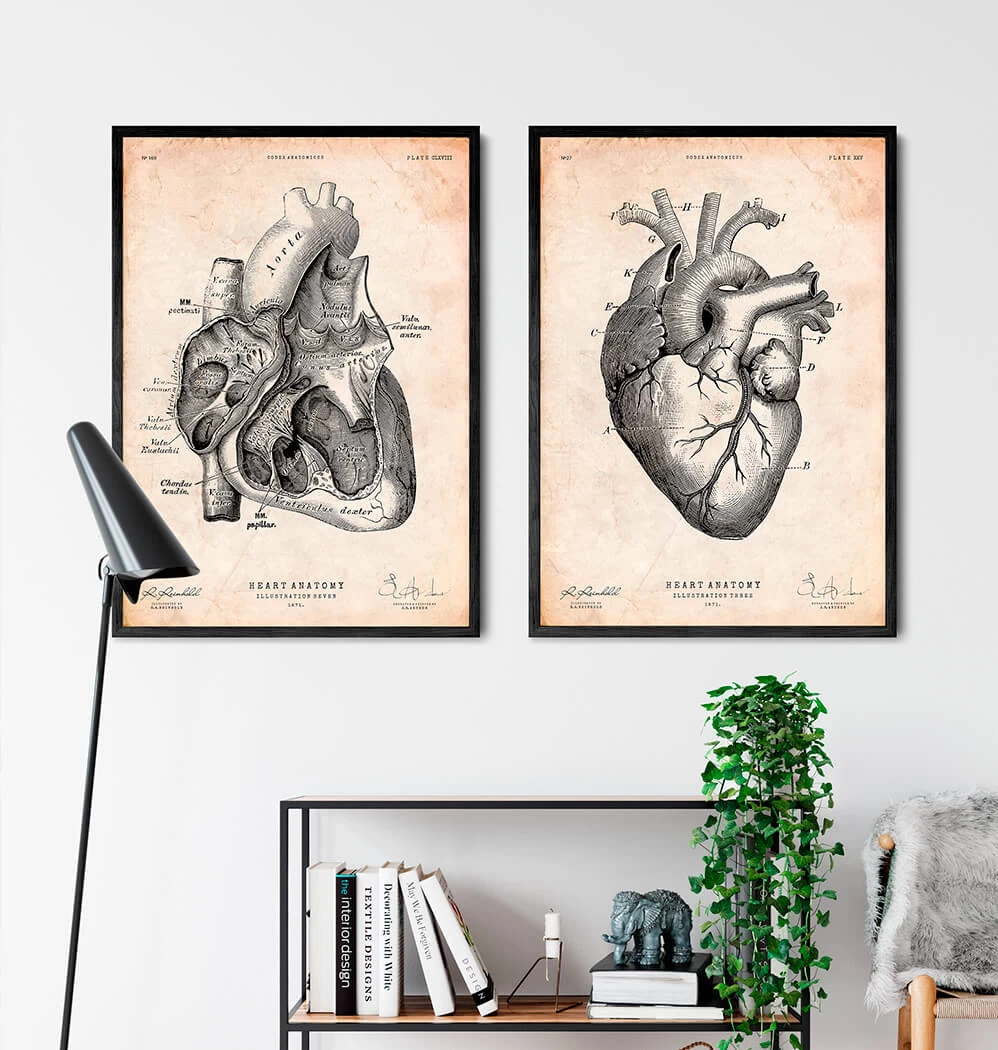 Heart Section Art Print I 5 Heart Section Art Print I - Image 3