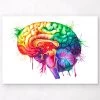 Brain Anatomy Art - Watercolor Splash