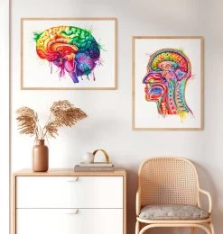 Brain Anatomy Art - Watercolor Splash -Codex Anatomicus Shop lpa152 2 1 6cf0f749 2ce7 4464 9d7d 55ebfb018008