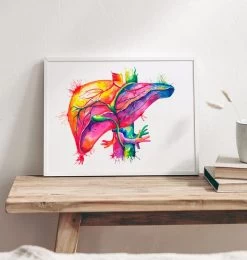 Liver Anatomy Art - Watercolor Splash 6 Liver Anatomy Art - Watercolor Splash -Codex Anatomicus Shop lpa157 1