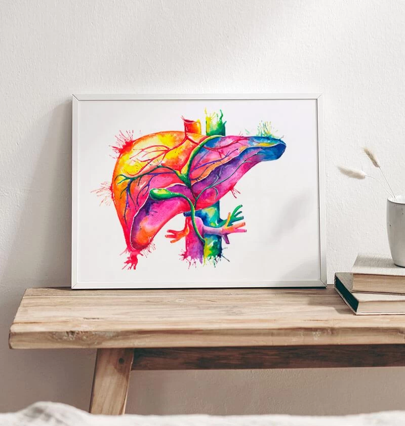 Liver Anatomy Art - Watercolor Splash 4 Liver Anatomy Art - Watercolor Splash - Image 2