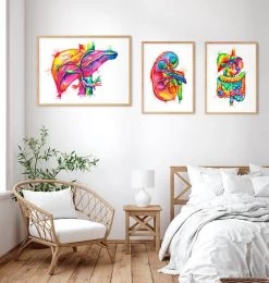 Liver Anatomy Art - Watercolor Splash 7 Liver Anatomy Art - Watercolor Splash -Codex Anatomicus Shop lpa157 2
