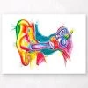 Ear Anatomy Art - Watercolor Splash