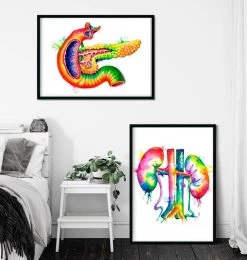 Pancreas Anatomy Art - Watercolor Splash 7 Pancreas Anatomy Art - Watercolor Splash -Codex Anatomicus Shop lpa199 2