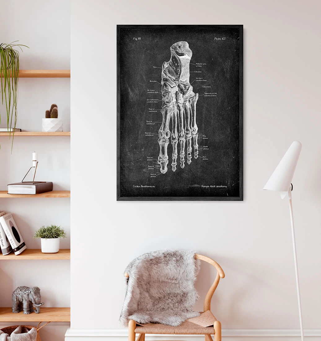 Foot Anatomy - Chalkboard 4 Foot Anatomy - Chalkboard - Image 2