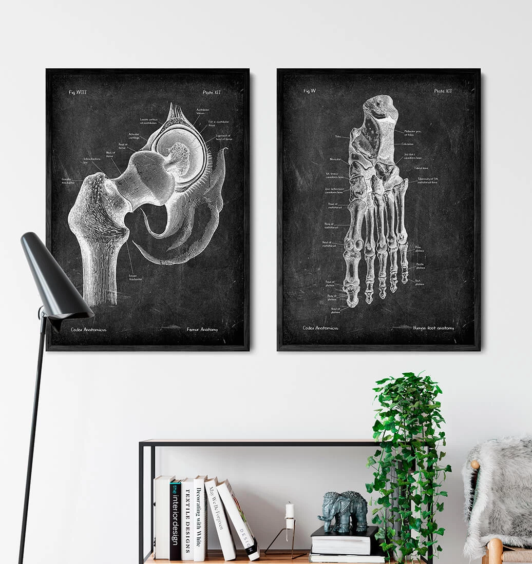 Foot Anatomy - Chalkboard 5 Foot Anatomy - Chalkboard - Image 3