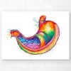 Stomach Anatomy Art - Watercolor Splash -Codex Anatomicus Shop lpa316