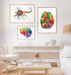 Neuron Structure Art - Watercolor Splash -Codex Anatomicus Shop lpa345 2
