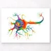 Neuron Structure Art - Watercolor Splash 2 Neuron Structure Art - Watercolor Splash -Codex Anatomicus Shop lpa345 efa7e537 a4e0 4e11 bf68 5d41982b097d