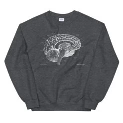 Brain I Unisex Sweatshirt - Chalkboard 9 Brain I Unisex Sweatshirt - Chalkboard -Codex Anatomicus Shop mockup 0d35287b