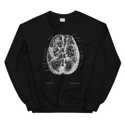 Brain II Unisex Sweatshirt - Chalkboard 8 Brain II Unisex Sweatshirt - Chalkboard -Codex Anatomicus Shop mockup 6aed13bf