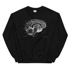 Brain I Unisex Sweatshirt - Chalkboard 8 Brain I Unisex Sweatshirt - Chalkboard -Codex Anatomicus Shop mockup 7293bd30