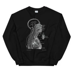 Head Section II Unisex Sweatshirt - Chalkboard -Codex Anatomicus Shop mockup a9834217