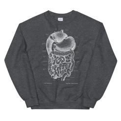Digestive System Unisex Sweatshirt - Chalkboard 9 Digestive System Unisex Sweatshirt - Chalkboard -Codex Anatomicus Shop mockup b39f52d2