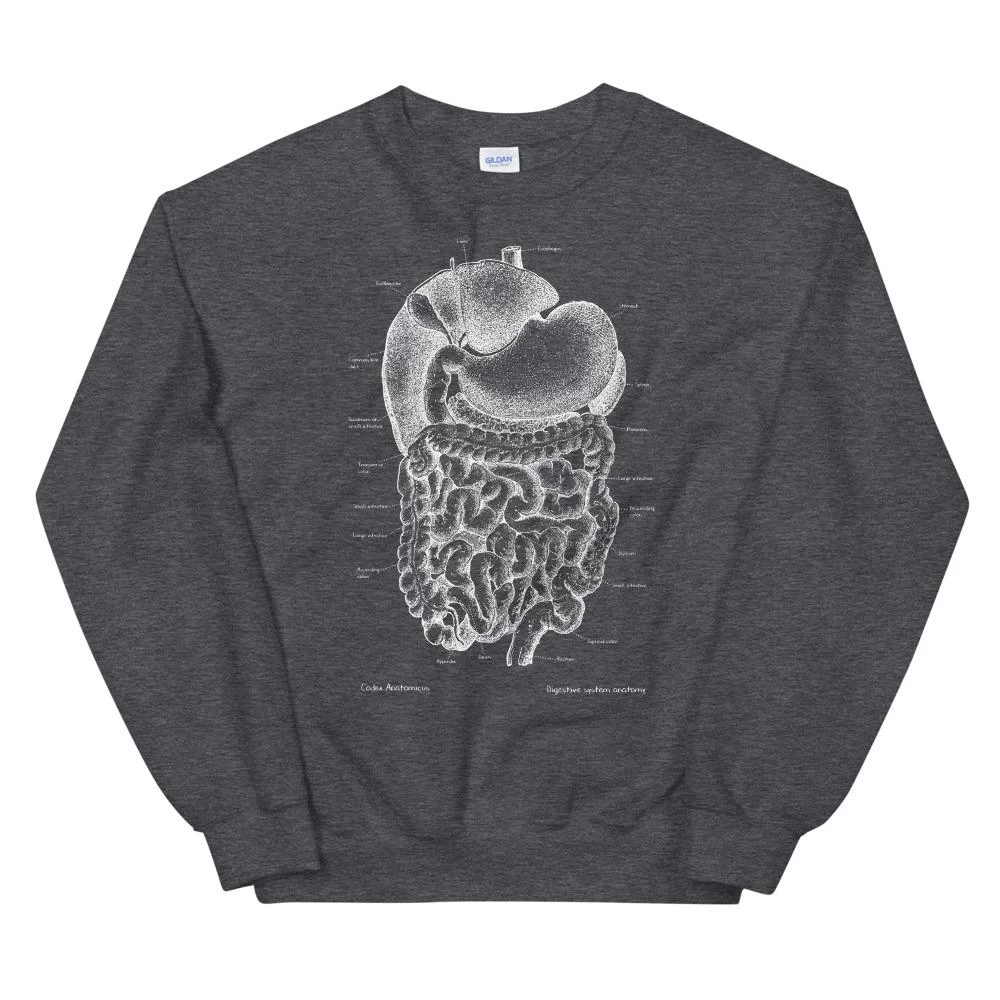 Digestive System Unisex Sweatshirt - Chalkboard 6 Digestive System Unisex Sweatshirt - Chalkboard - Image 4