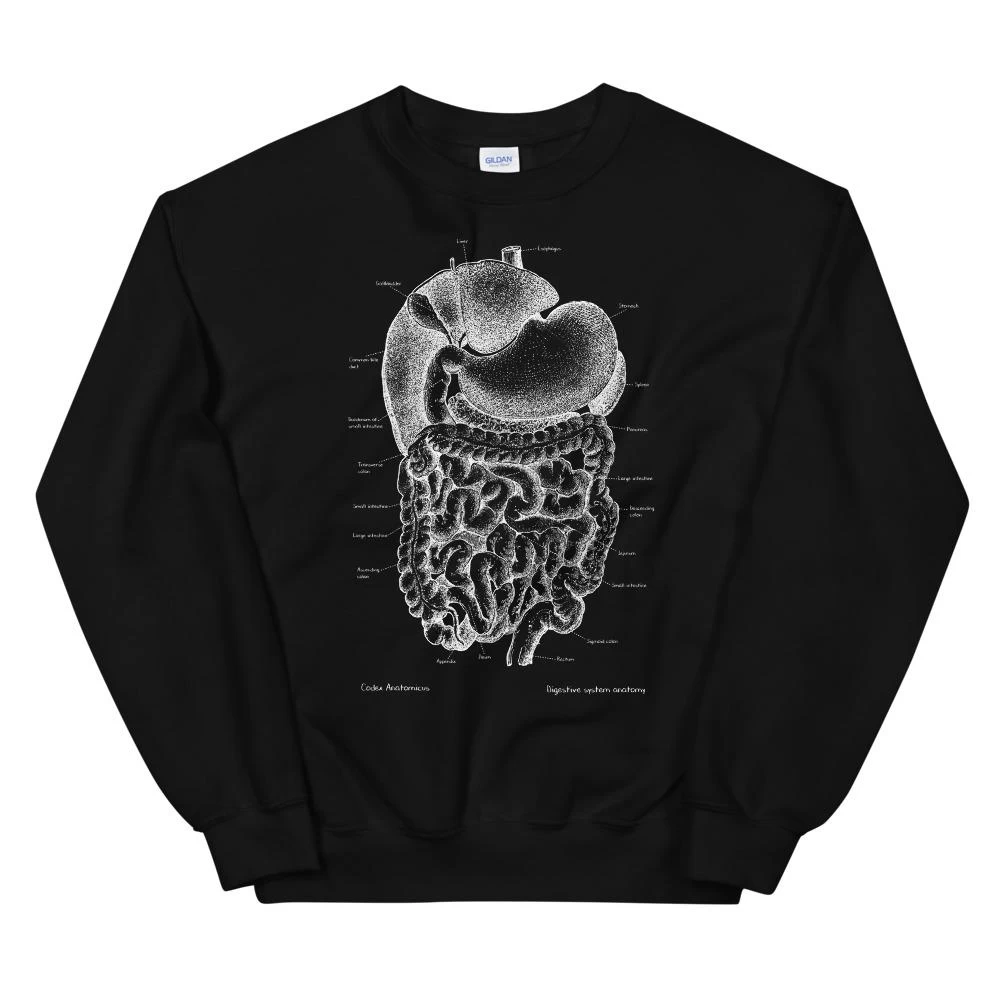 Digestive System Unisex Sweatshirt - Chalkboard 5 Digestive System Unisex Sweatshirt - Chalkboard - Image 3