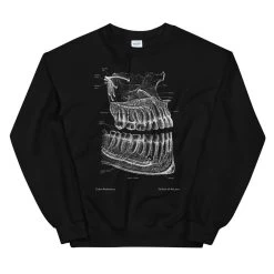 Dental Unisex Sweatshirt - Chalkboard -Codex Anatomicus Shop mockup dde7de70