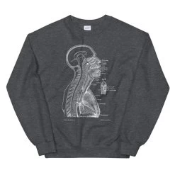 Head Section II Unisex Sweatshirt - Chalkboard -Codex Anatomicus Shop mockup f7b72d25
