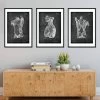 Torso Muscles Set Of 3 - Chalkboard 1 Torso Muscles Set Of 3 - Chalkboard -Codex Anatomicus Shop muscles1