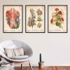 Spine & Back Set Of 3 - Floral - Vintage -Codex Anatomicus Shop set 2 vintage floral v2